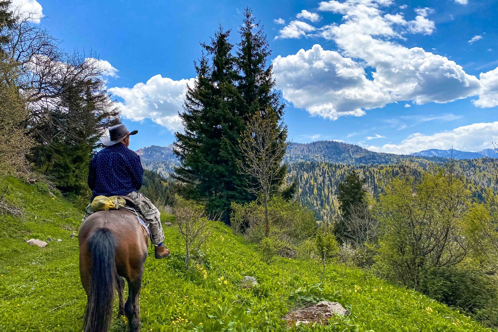 1 Day Horse Riding Tour in Borjomi