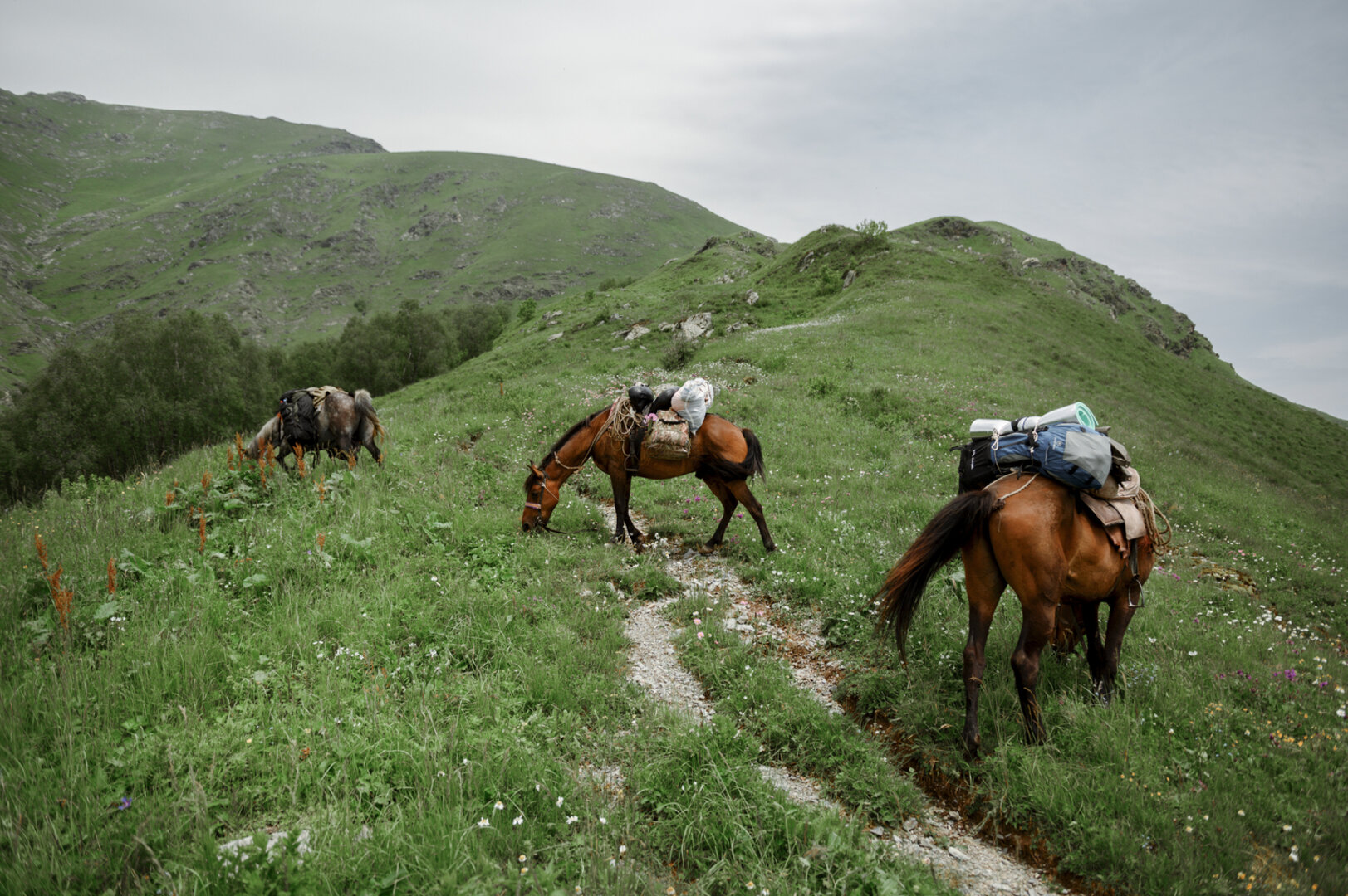 3 Days Horse Riding Tour in Lagodekhi National Park