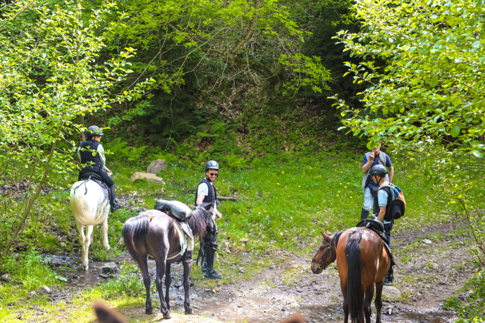 2 hours horse riding tour in Borjomi
