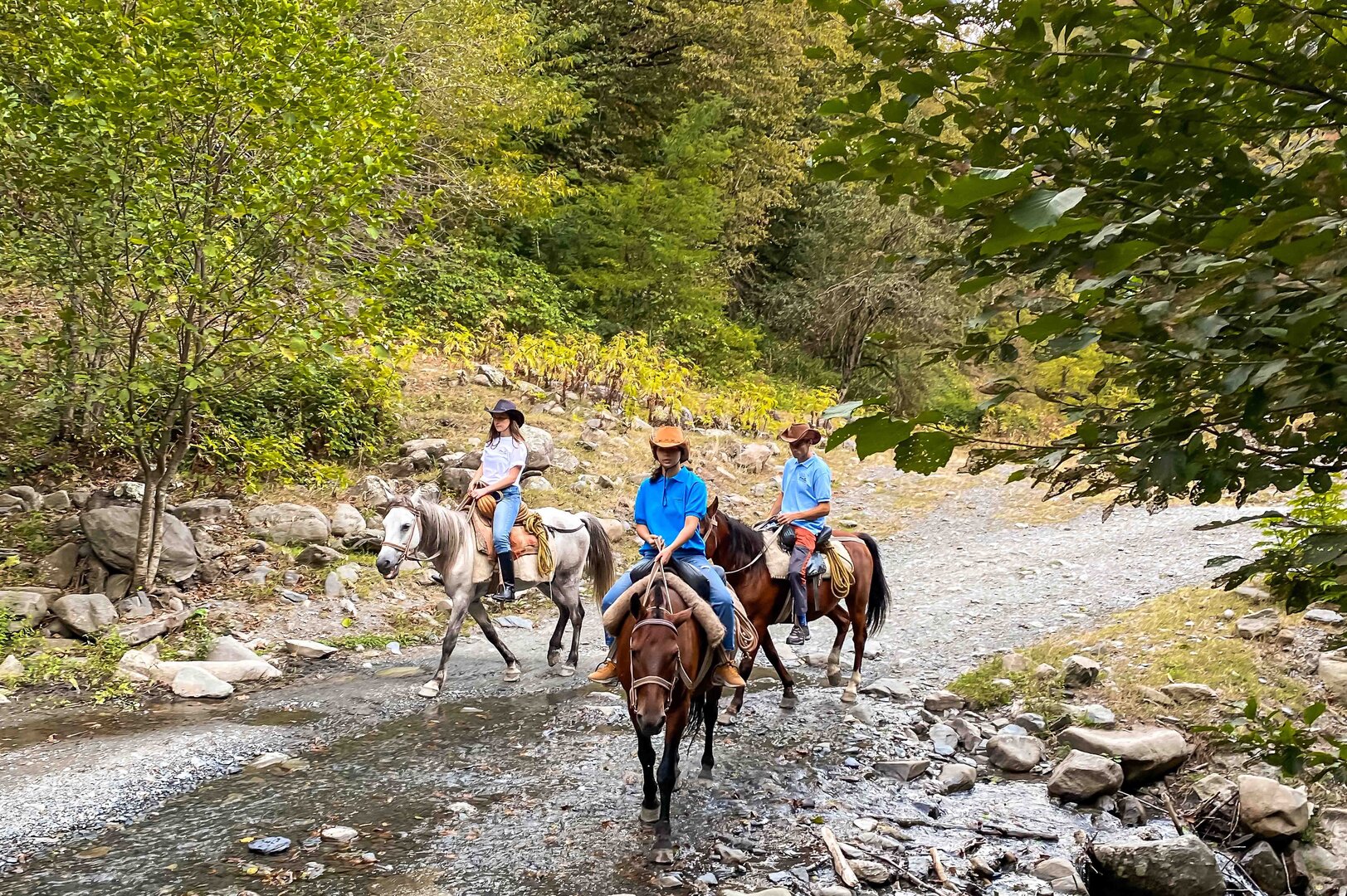 2 Days Horse Riding Tour in Pankisi