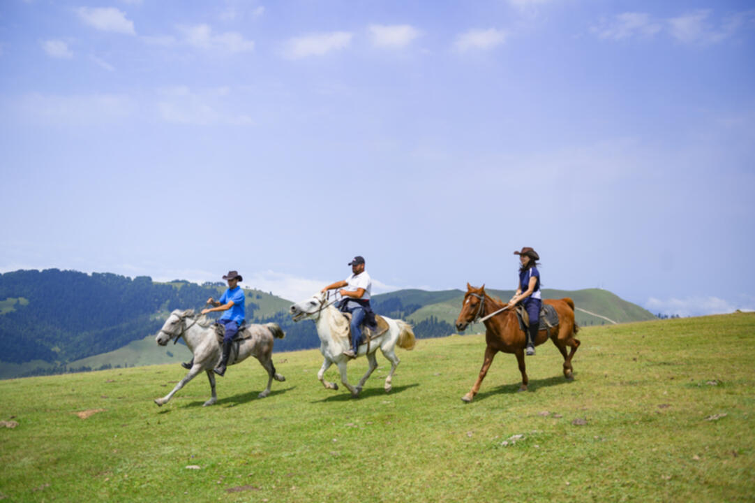 1-Day Horse Riding Tour in Bakhmaro