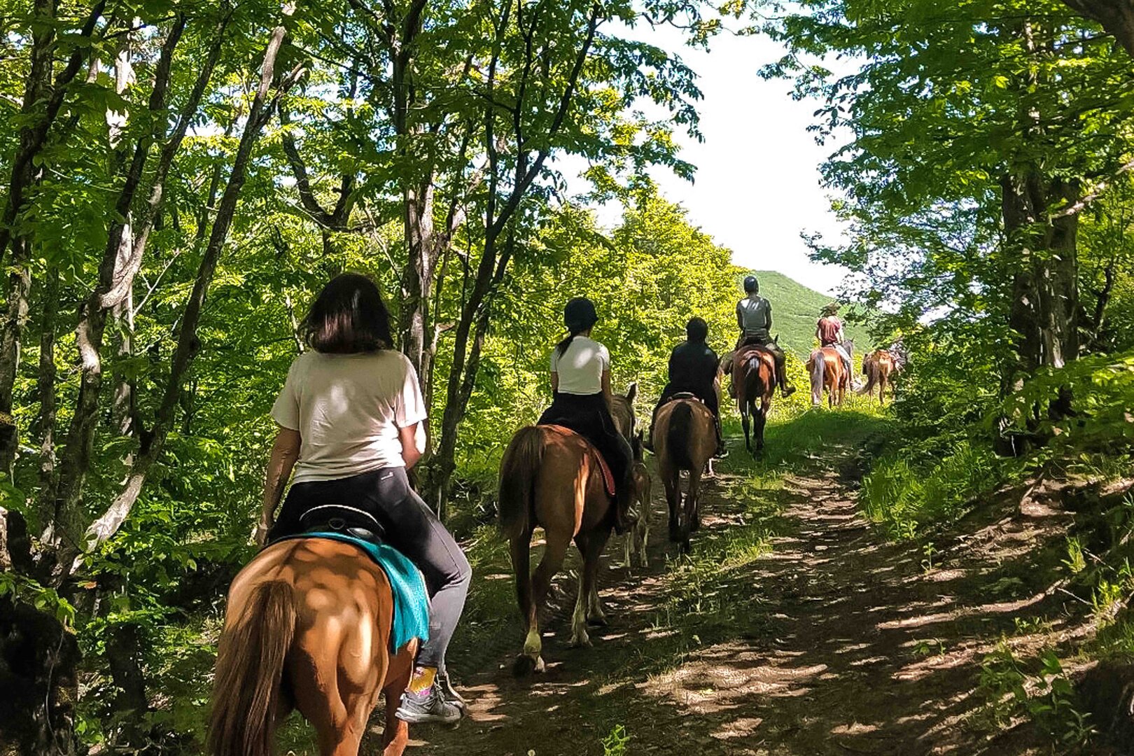A Half-Day Horse Riding Tour on Trialeti Ridge