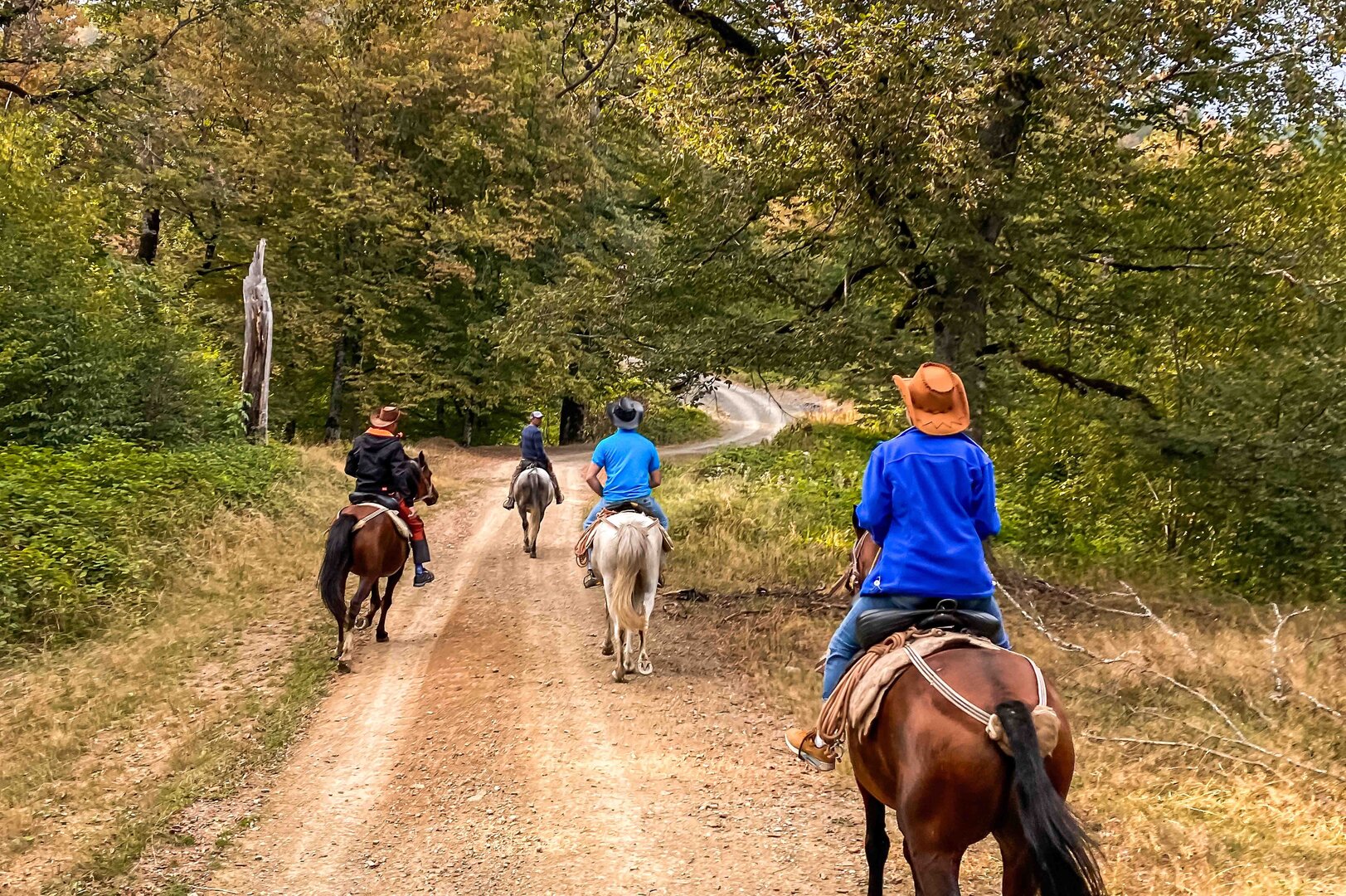 2-Day Horse Riding Tour in Pankisi