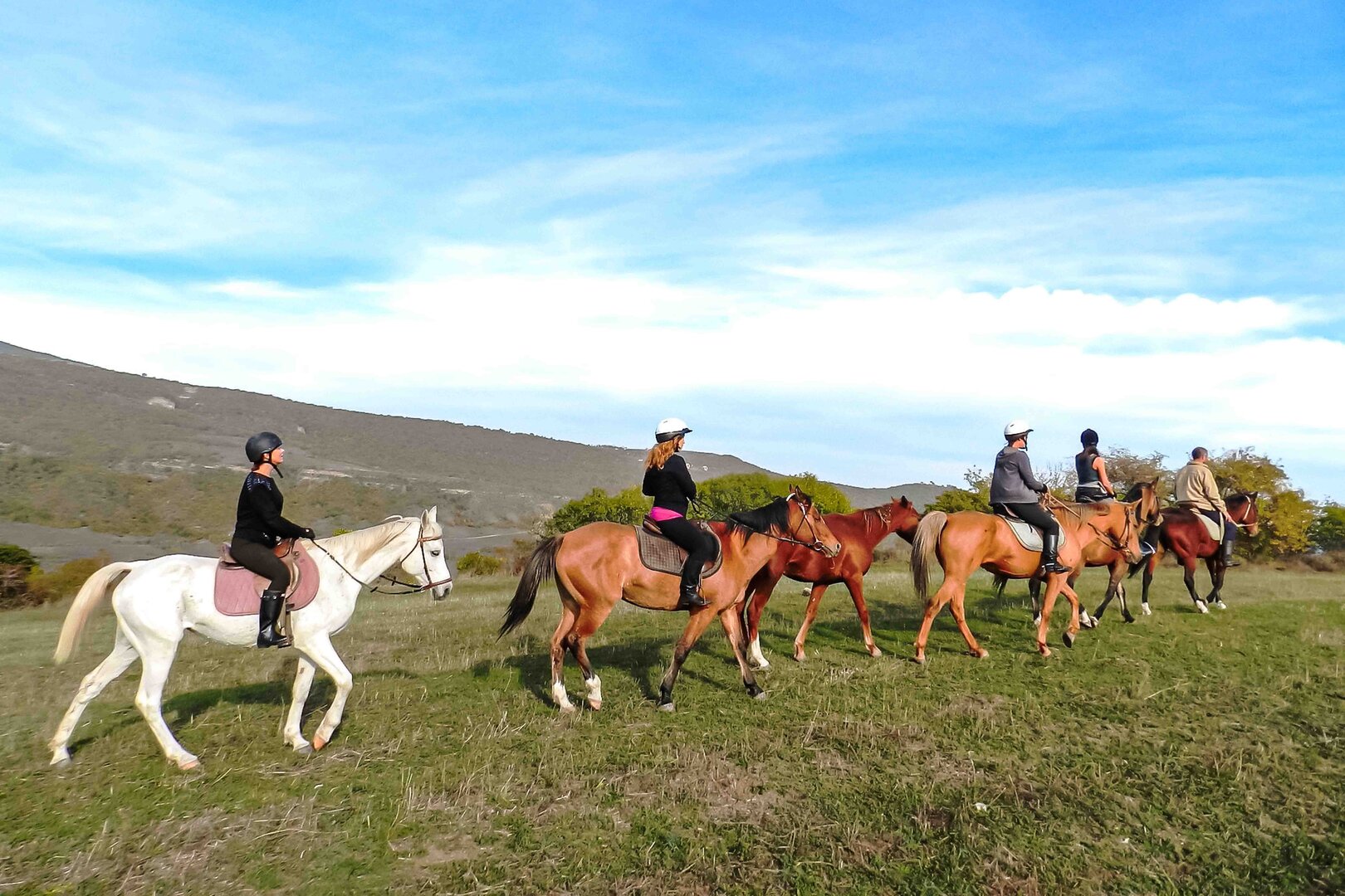 A Half-Day Horse Riding Tour on Trialeti Ridge
