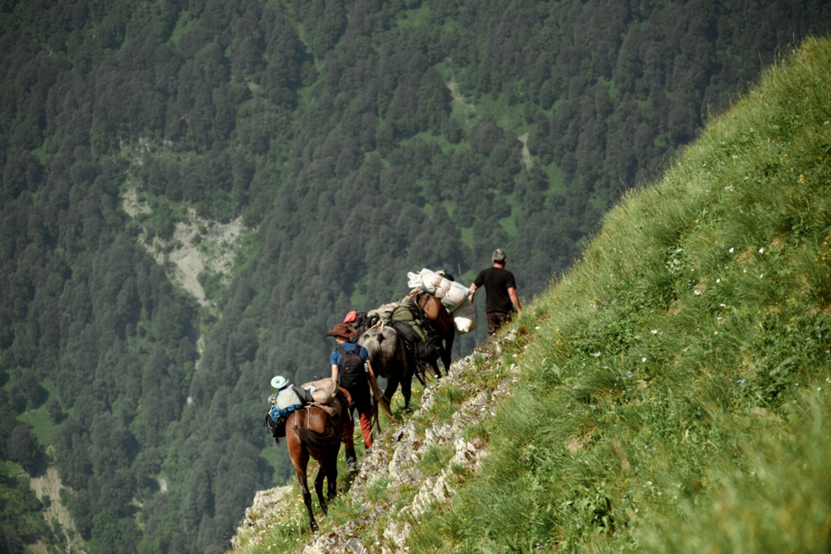 3 Days Horse Riding Tour in Lagodekhi National Park