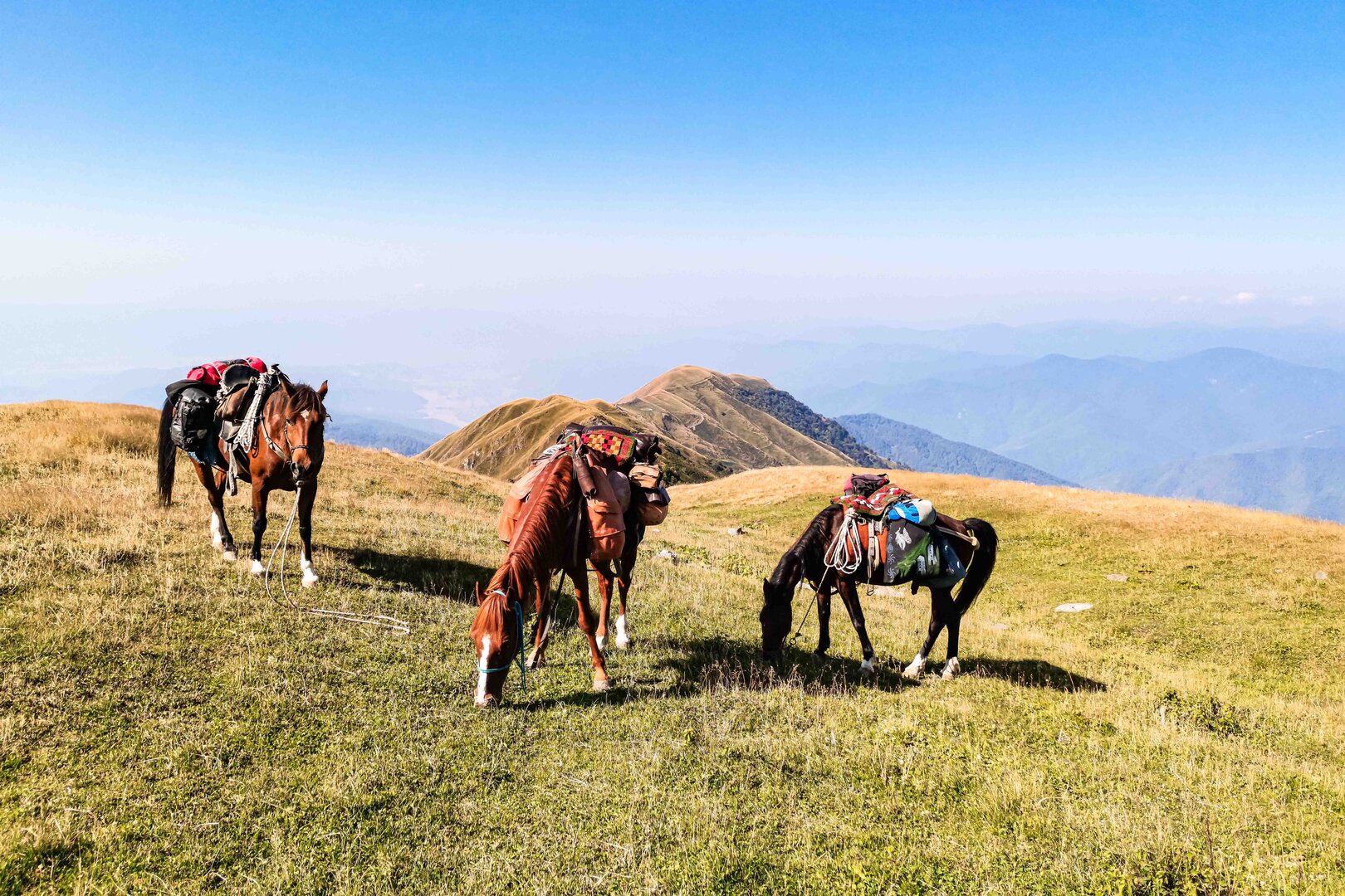 5 Days Horse Riding Tour in Kakheti
